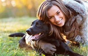 Hond die getrimt moet worden