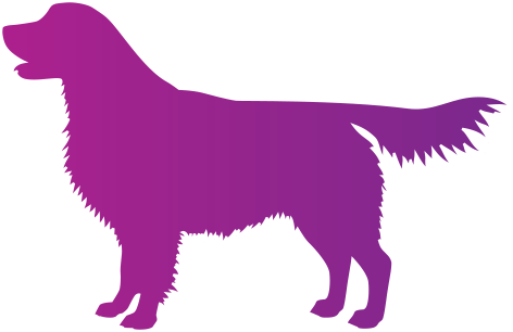 Hond
